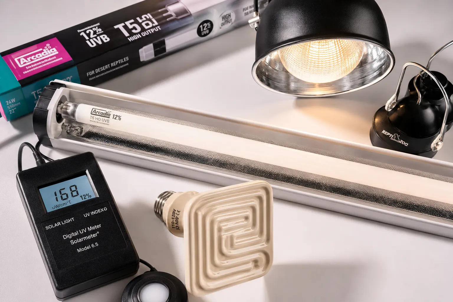 Best UVB Bulb for Bearded Dragon Setup
