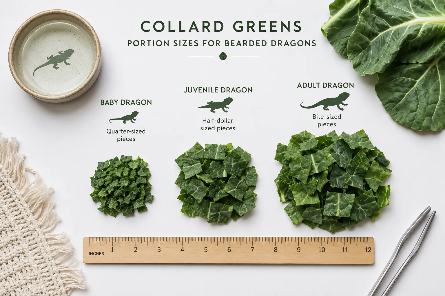 How Often Can Bearded Dragons Eat Collard Greens?